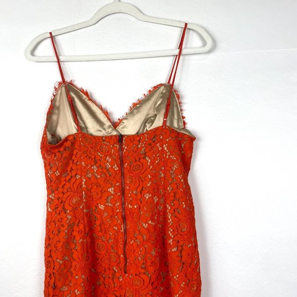 Bardot Sienna Lace Bodycon Spaghetti Strap Cocktail Midi Dress - Picture 7 of 10